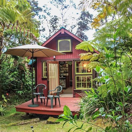 Ferny Hollow: Romantic Rainforest Cottage Volcano Exteriör bild