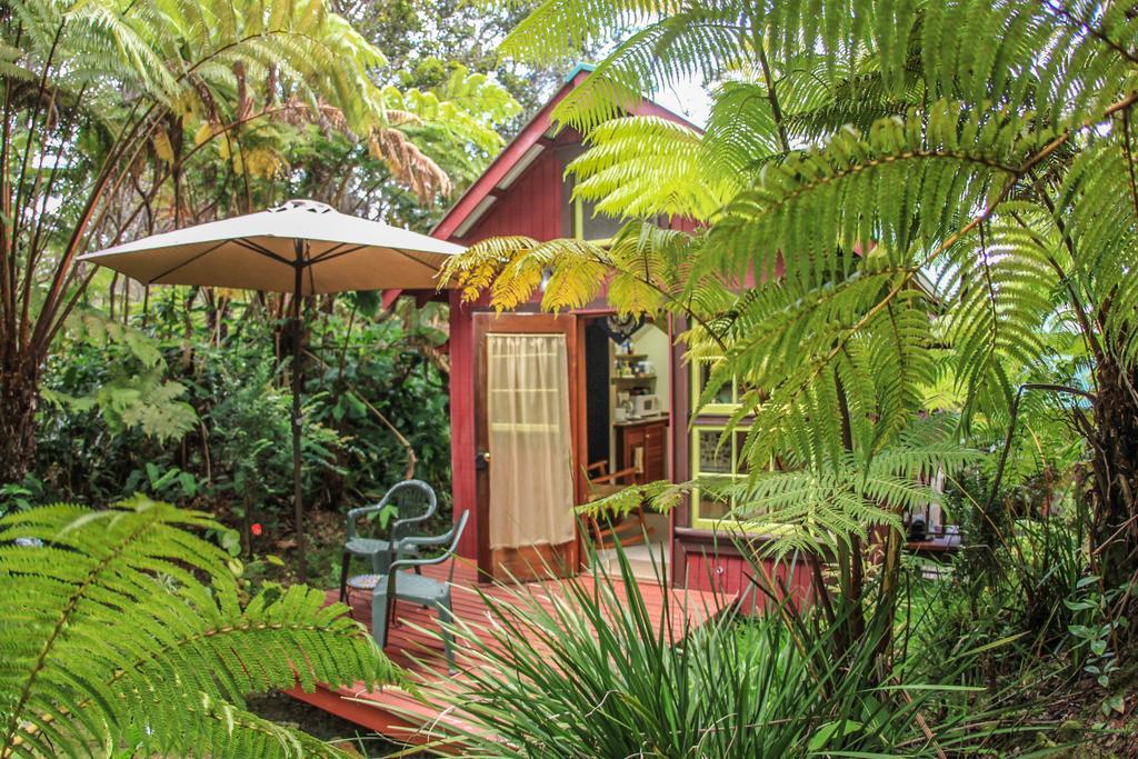 Ferny Hollow: Romantic Rainforest Cottage Volcano Exteriör bild