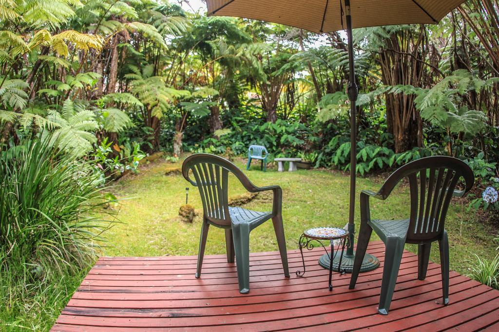 Ferny Hollow: Romantic Rainforest Cottage Volcano Exteriör bild