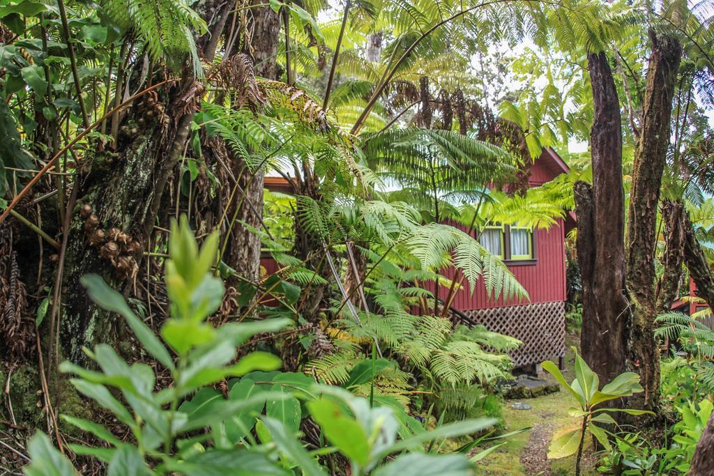 Ferny Hollow: Romantic Rainforest Cottage Volcano Exteriör bild