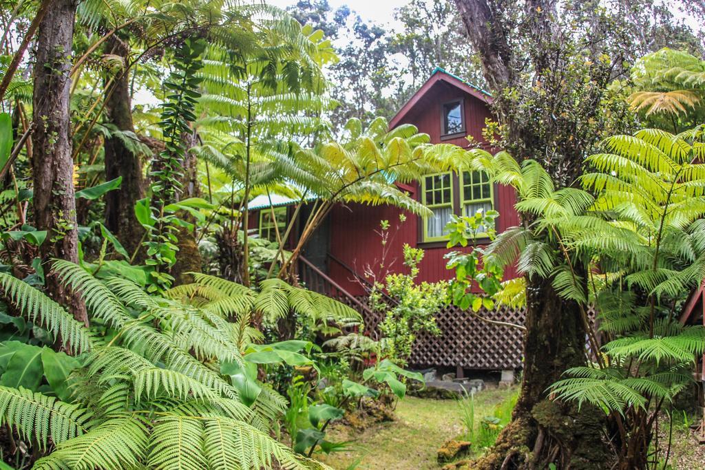 Ferny Hollow: Romantic Rainforest Cottage Volcano Exteriör bild