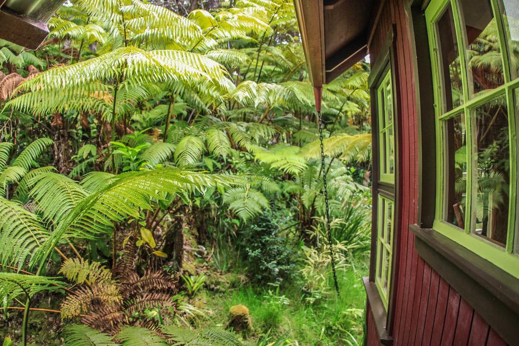 Ferny Hollow: Romantic Rainforest Cottage Volcano Exteriör bild